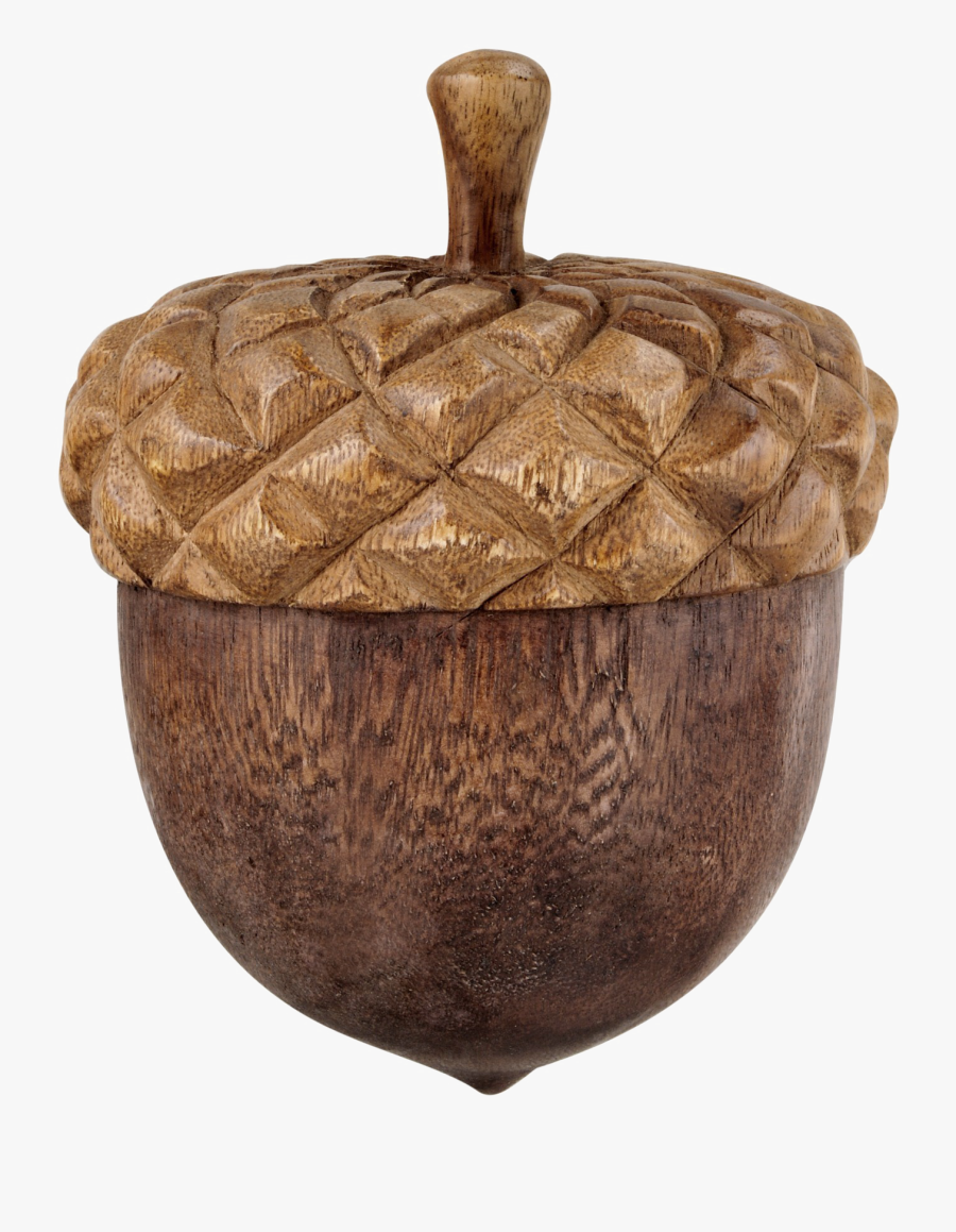 Acorn With Transparent Background, Transparent Clipart
