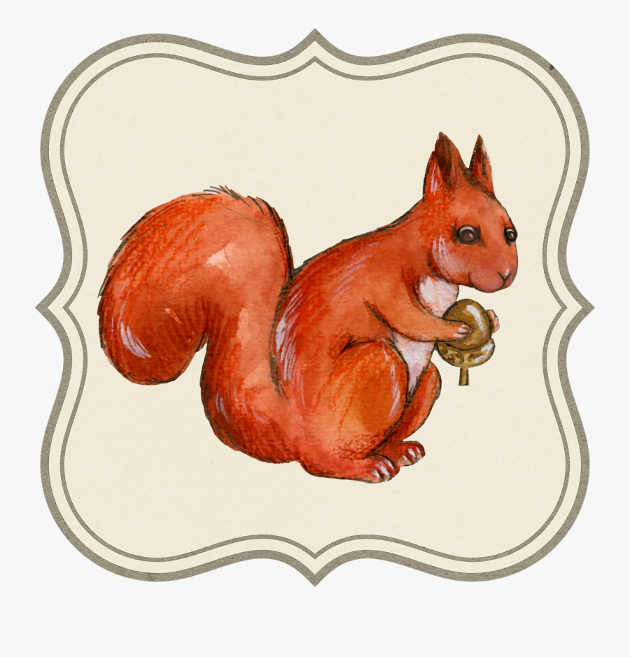 Transparent Squirrel With Acorns Clipart - Veka Uk Group Logo, Transparent Clipart