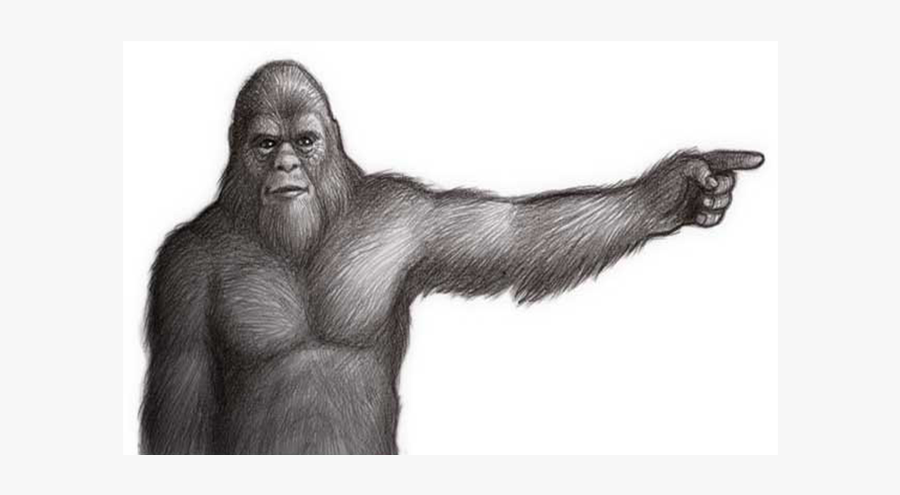 Sasquatch Drawing, Transparent Clipart