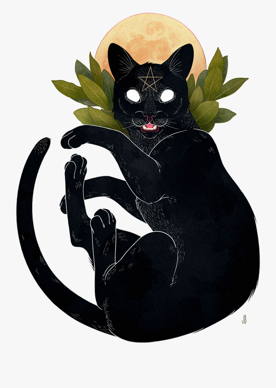 Witchcraft Cat, Transparent Clipart