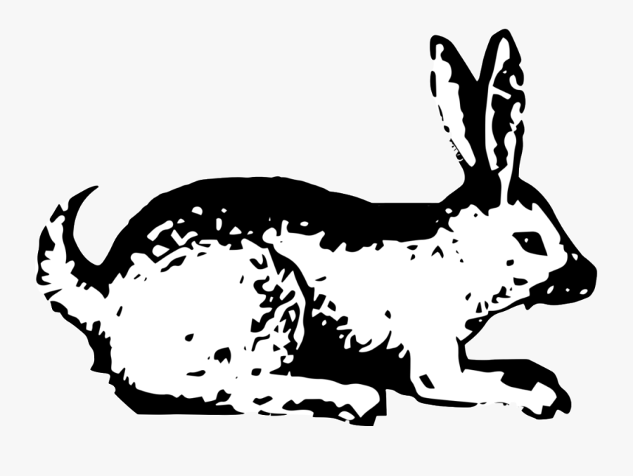 C O N T - Illustration, Transparent Clipart