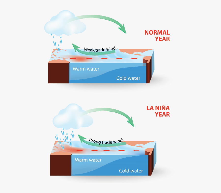 Lanina Vector, Transparent Clipart