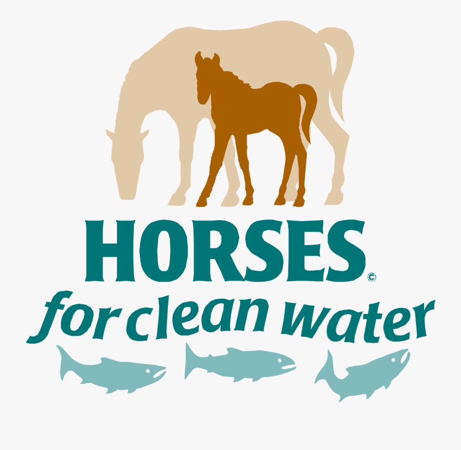 Watering Can Pouring Water Clip Art, Transparent Clipart