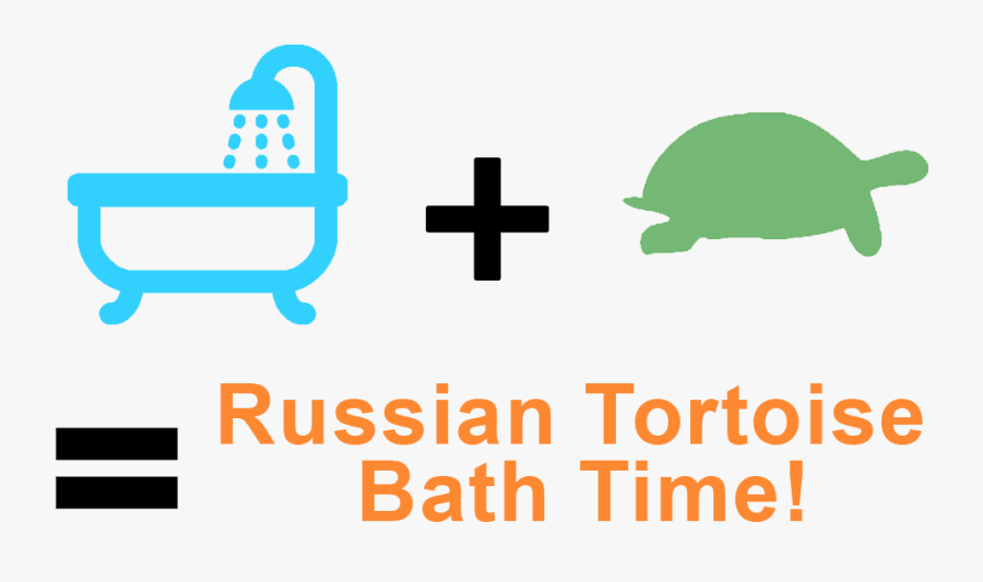 How To Bathe A Russian Tortoise, Transparent Clipart