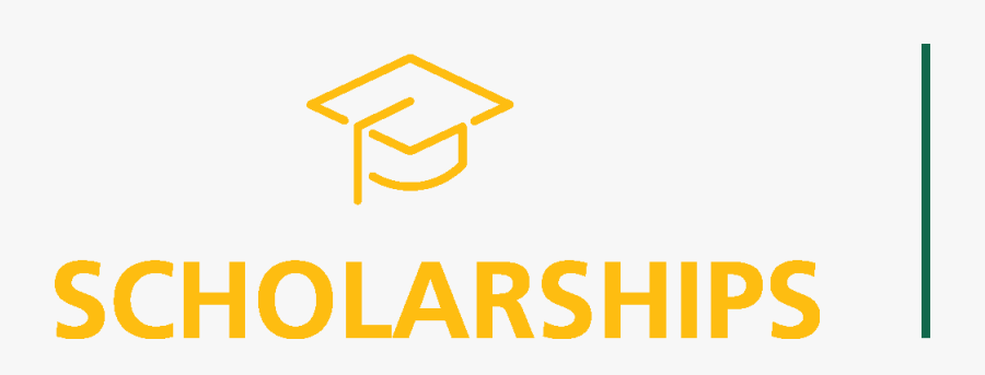 Image On Hover, Transparent Clipart