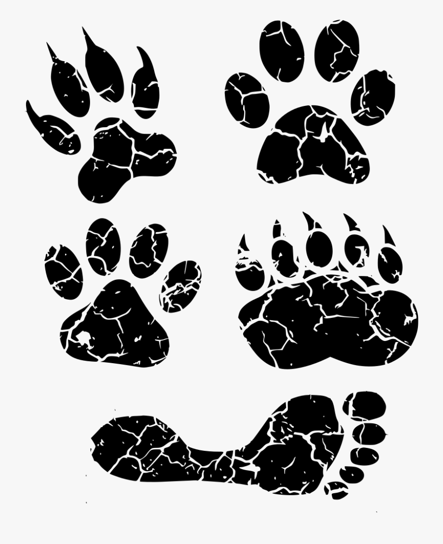 Download Png - Paw - Paw, Transparent Clipart