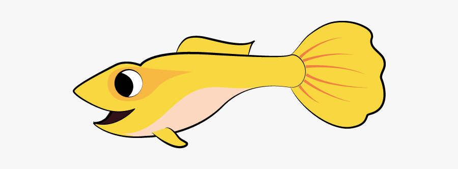 Goldfish, Transparent Clipart