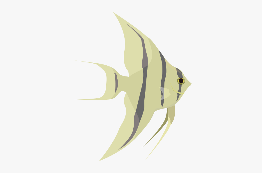 Angelfish - Construction Paper Angelfish, Transparent Clipart