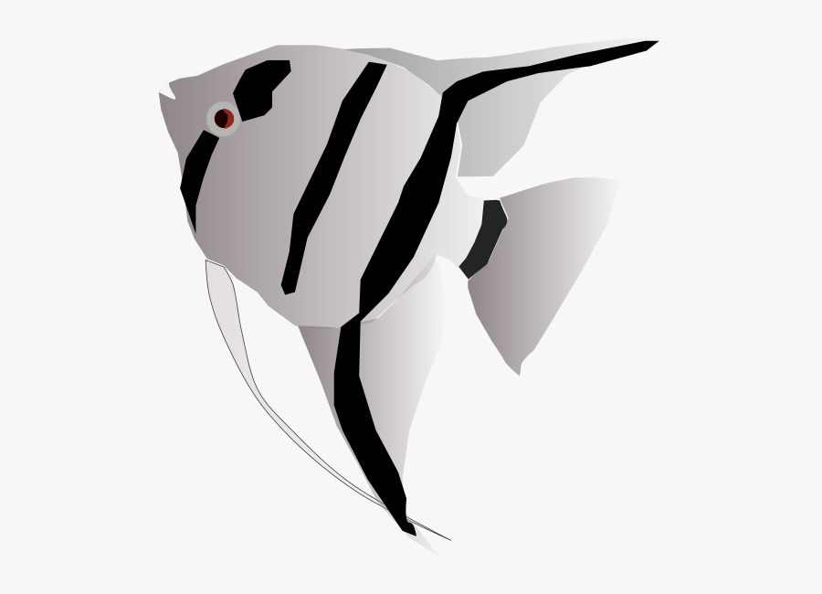 Freshwater Angelfish Clip Art - Angel White Fish Png, Transparent Clipart