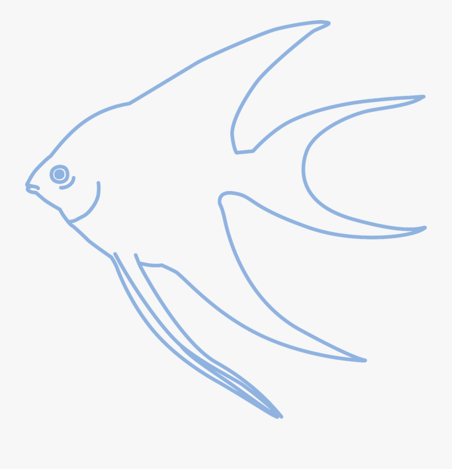 Fish,fish,free Vector Graphics,free Pictures, - Simple Angelfish, Transparent Clipart