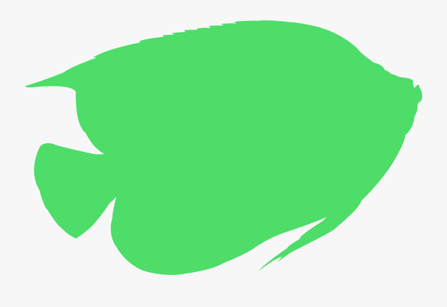 Cat Angel Wings Silhouette, Transparent Clipart