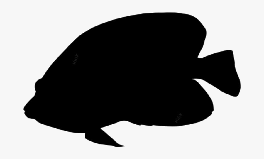 Transparent Angel Fish Png - Clip Art Black Clouds, Transparent Clipart