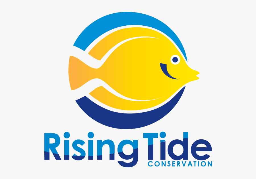 Clip Art Potters Angelfish Centropyge Potteri - Rising Tide Conservation Logo, Transparent Clipart
