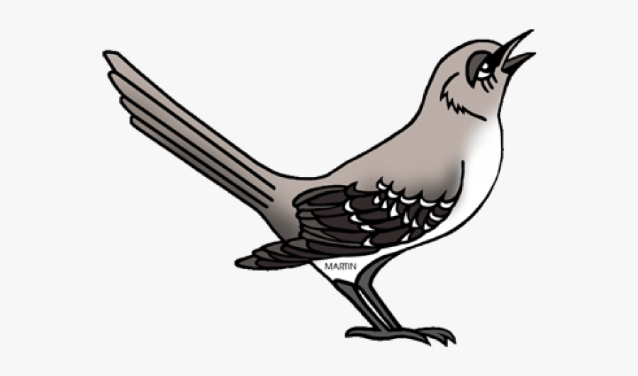 Mockingbird Clipart, Transparent Clipart