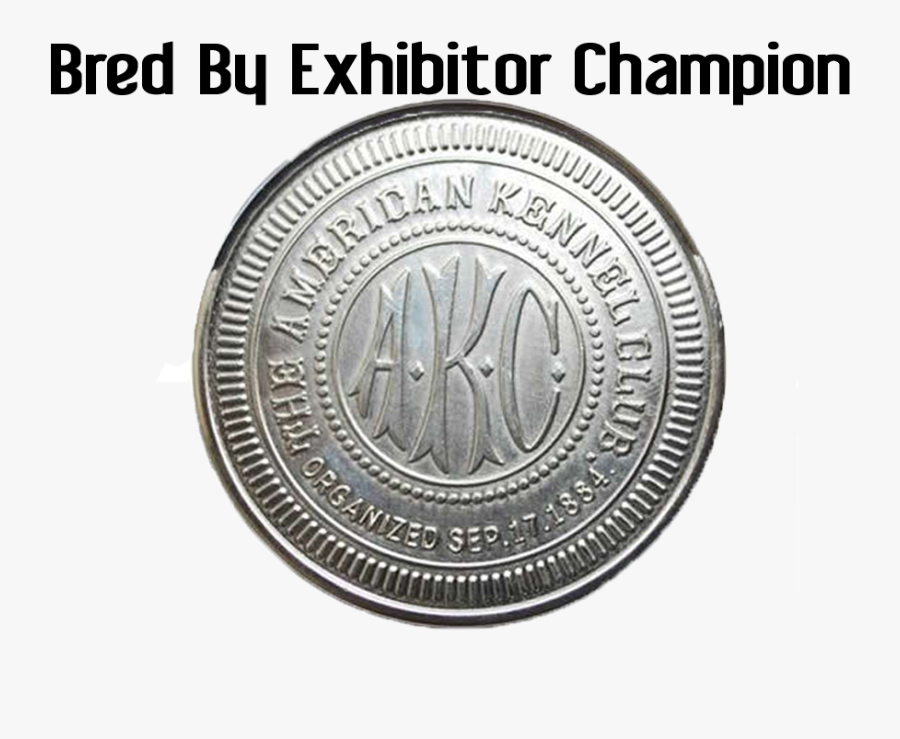 Coin, Transparent Clipart