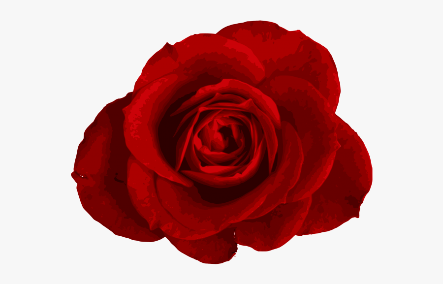 Vector Clipart Psd Peoplepng - Transparent Background Rose Png, Transparent Clipart