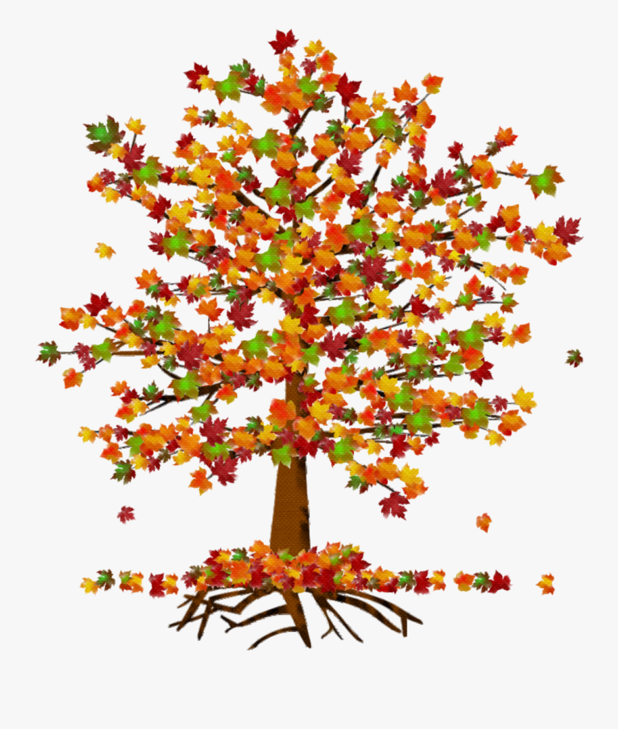 Maple Leaf, Transparent Clipart