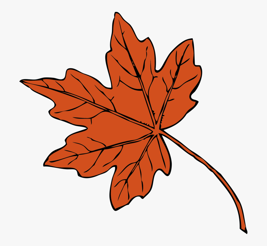 Maple Leaf Drawing Autumn Leaf Color Red Maple Cc0 - Maple Leaf Clipart, Transparent Clipart