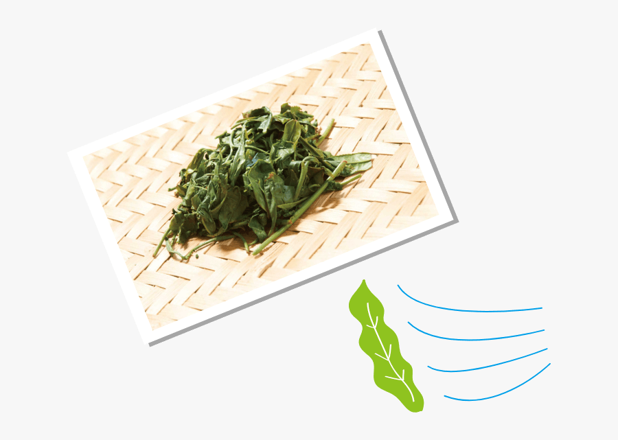 Water Spinach, Transparent Clipart