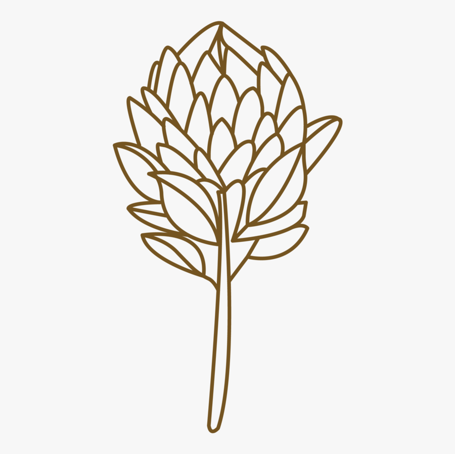 Thegodard"s Instastories-40 Crop - Illustration, Transparent Clipart