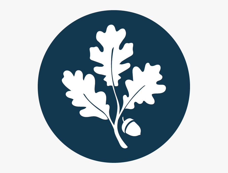 Blowing Fall Leaves Clipart, Transparent Clipart