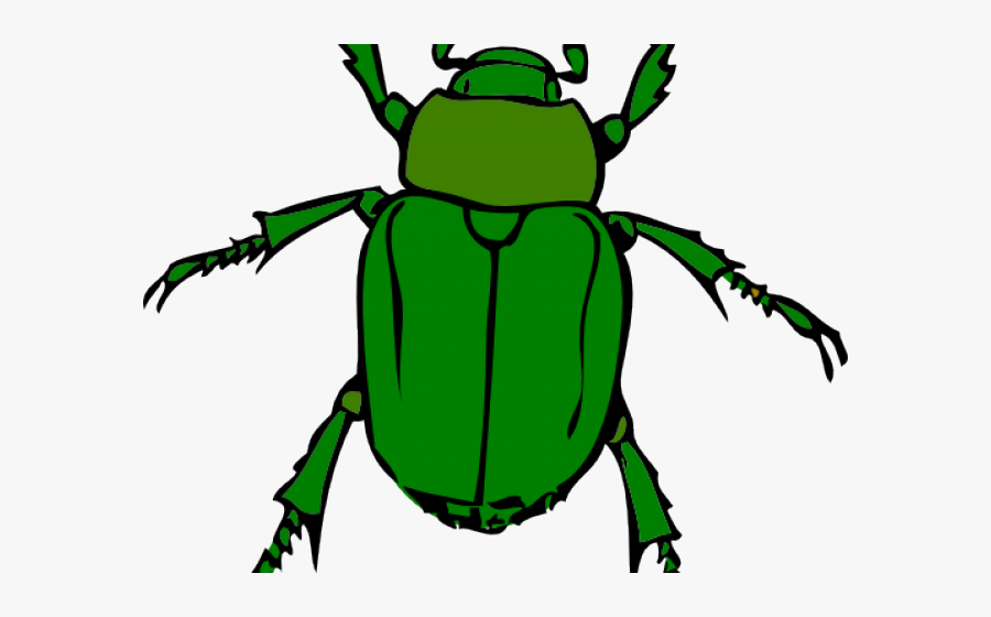Insect Clipart, Transparent Clipart