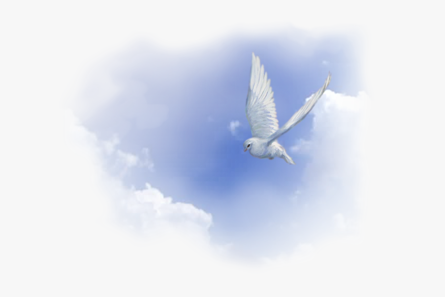 Spiritual Christian Gift Holy Of Acts God Clipart - Fondo Espiritu Santo Png, Transparent Clipart