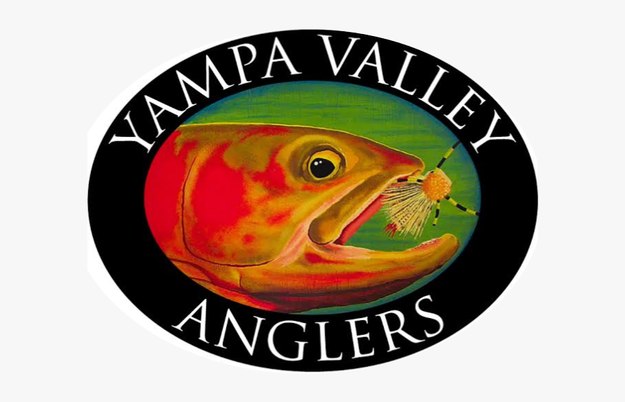 Transparent Angler Fish Png - Beverage Media, Transparent Clipart