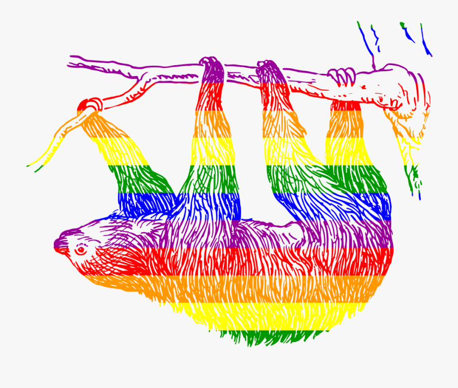 Transparent Sloth - Black And White Sloth, Transparent Clipart