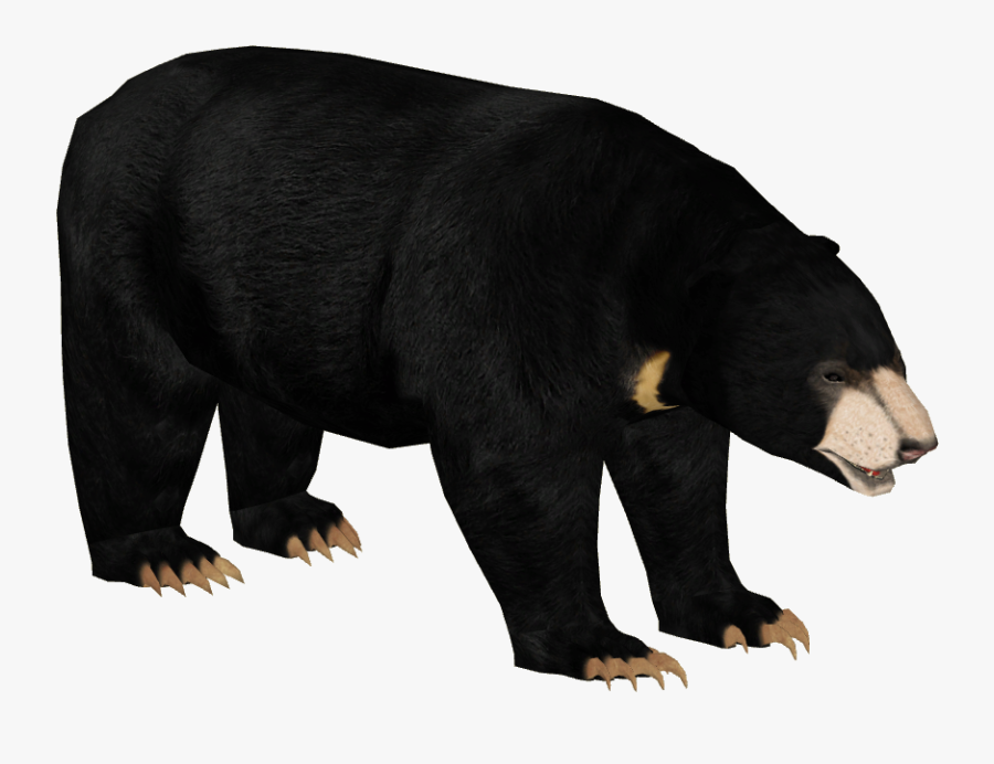 Transparent Smokey The Bear Png - Sloth Bear Png, Transparent Clipart