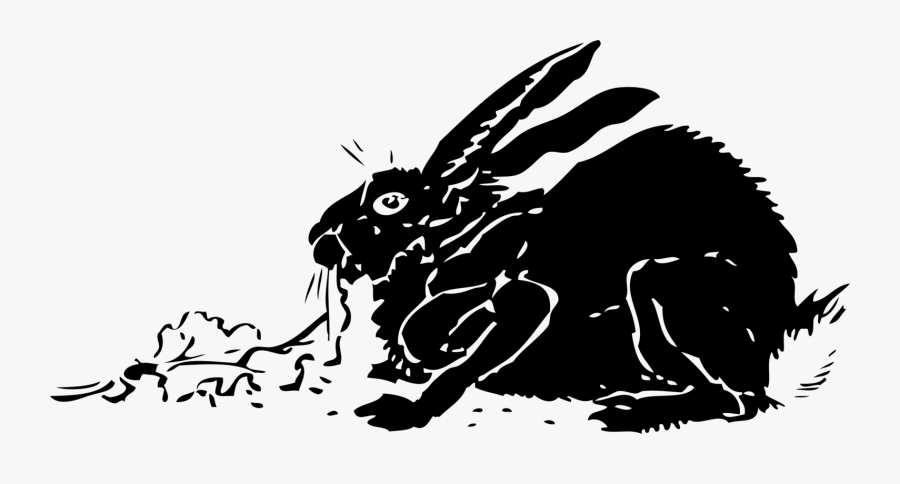 Black Rabbit - Black Rabbit Cartoon, Transparent Clipart