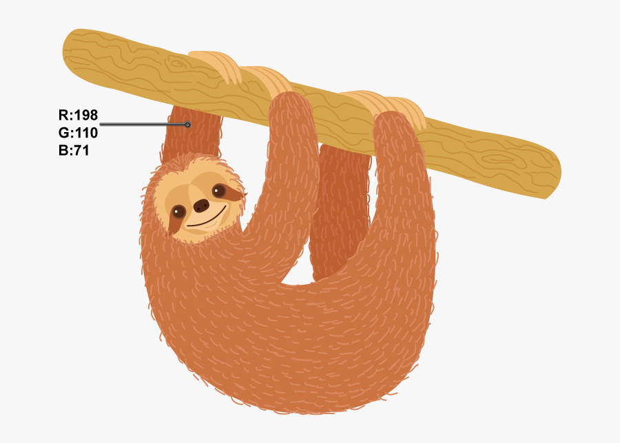 Three-toed Sloth, Transparent Clipart