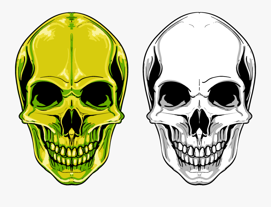Euclidean Vector Skull Png Free Photo Clipart - Green Skull Png, Transparent Clipart
