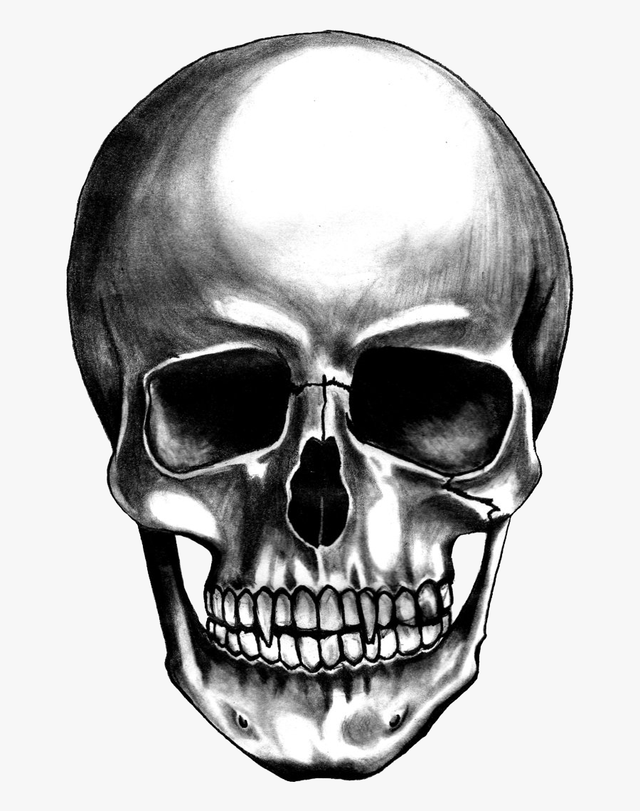 Skull Images Free - Skull Transparent Png, Transparent Clipart