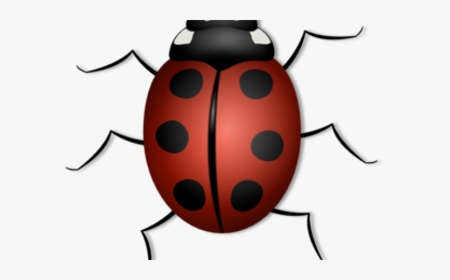 Transparent Carson Dellosa Clipart - Any Insect Which Has 6 Legs, Transparent Clipart