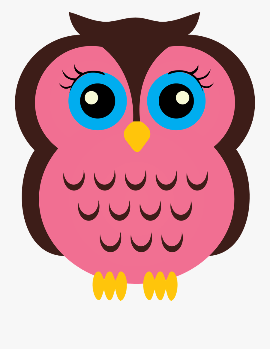 Kindergarten Clipart Owl - Coruja Desenho, Transparent Clipart