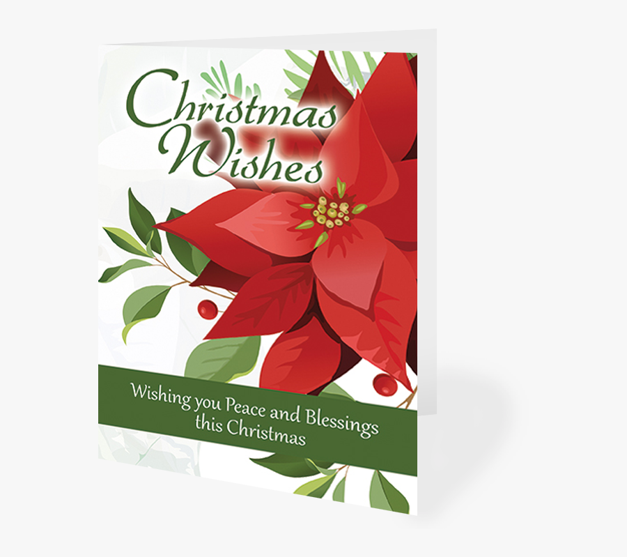 Poinsettia, Transparent Clipart