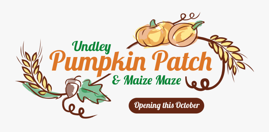 Transparent Pumpkins In A Row Clipart - Actiepagina, Transparent Clipart