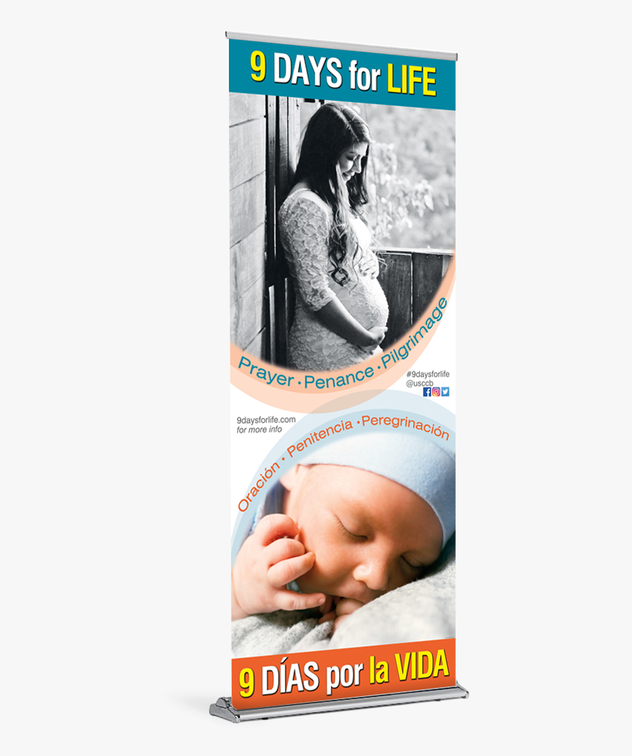 Flyer, Transparent Clipart