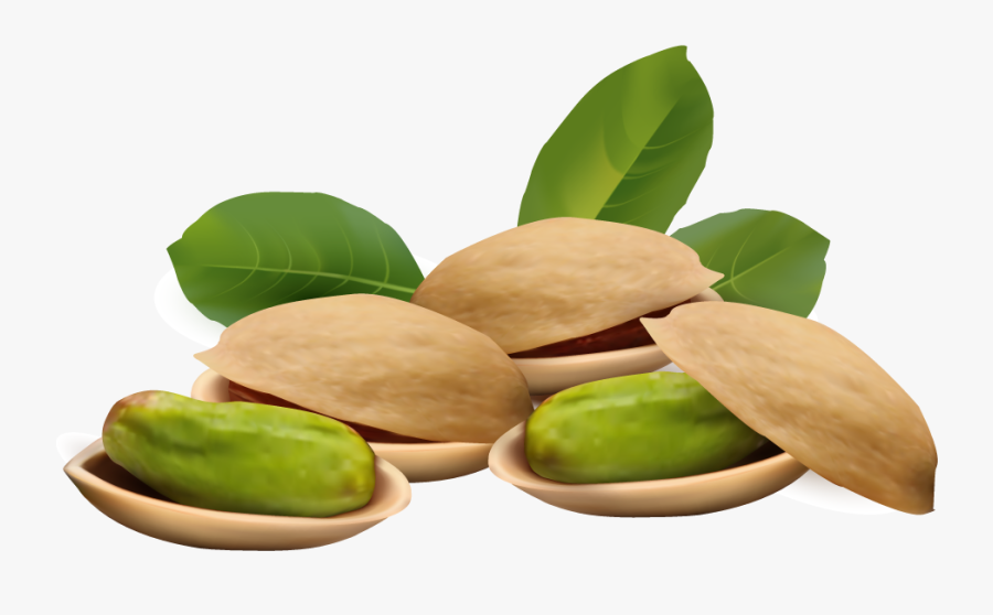 Clip Art Of Pistachio Nuts - Pistachio Clipart, Transparent Clipart