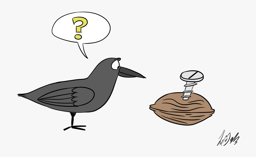 Crows Nuts Bolts - Illustration, Transparent Clipart