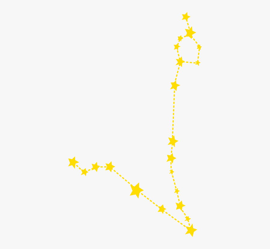 Twig,leaf,symmetry - Pisces Constellation Clipart Transparent, Transparent Clipart
