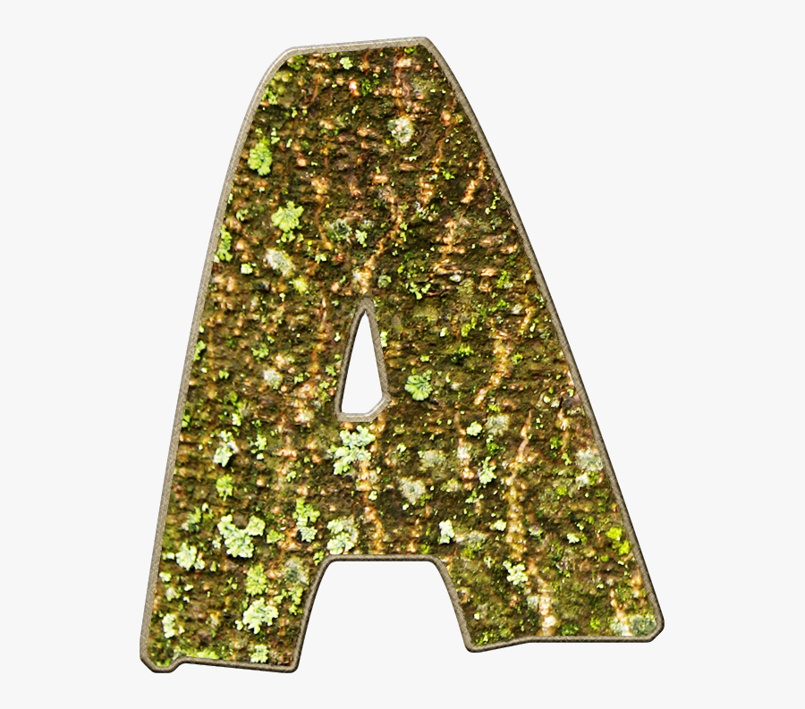 Lampshade, Transparent Clipart