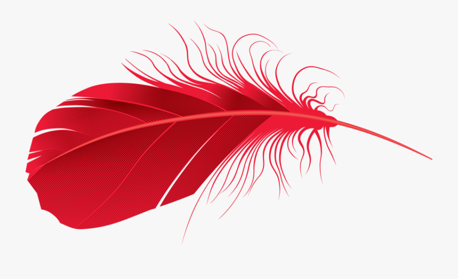 Feather - Red Feather Clear Background, Transparent Clipart