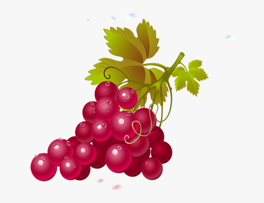 Red Grapes Clipart Transparent , Free Transparent Clipart ClipartKey