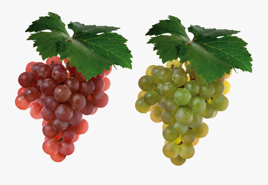 Grapes Clipart, Transparent Clipart