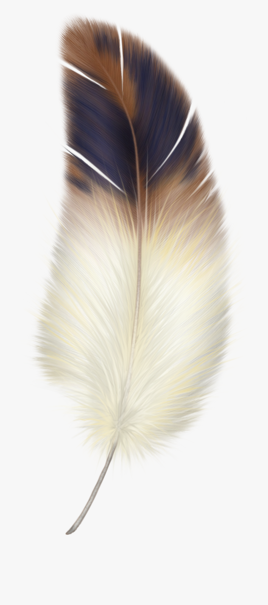 Фотки Beautiful Feather - Feather Png, Transparent Clipart