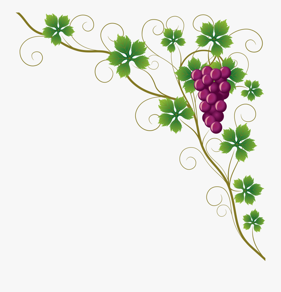 Common Grape Vine Grape Leaves Wine Clip Art - Grape Vine Clipart Border, Transparent Clipart