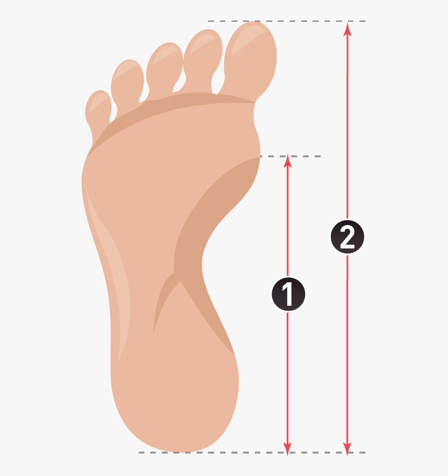 Feet Bottom Foot Transparent - Paris Métro Line 2, Transparent Clipart