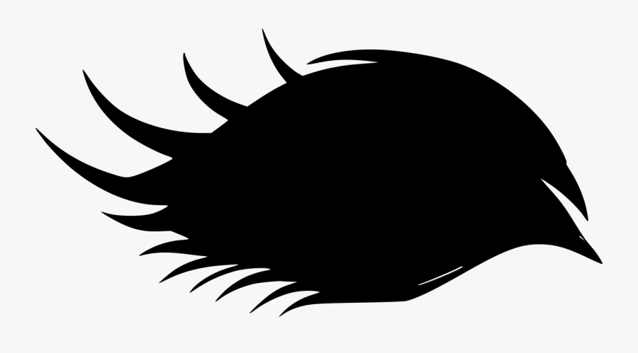 Feather, Silhouette, Sticker, Clipart - لوجو عيون و رموش, Transparent Clipart